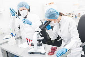 Two Lab Techs in a lab doing testing and looking into a microsope